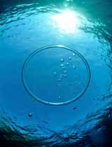 Tulamben Wreck Divers Rescue Course